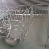 Cage de maternité pour truies, utilisée en élevage porcin, à vendre, avec plancher galvanisé