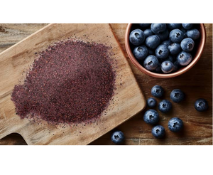 Blueberry Fruit Extract Spray Dried Dry Extract Powder Manufacturer Specializing In Natural Berry Extract Production For Bulk - Product Image 3