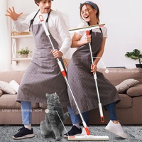 Outil professionnel pour enlever les poils d'animaux, râteau pour tapis, grattoir pour tapis, réutilisable, spécial pour enlever les poils de chien, pour canapé, tours pour animaux, tapis, tapis pour chats