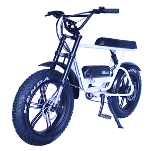 Vélo électrique puissant de 1000W, moteur de haute qualité - Product Image 2