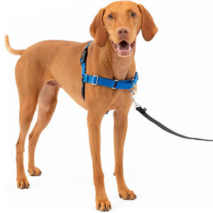 Rompi nilon tanpa tarikan anjing warna polos, rompi nilon bentuk L dapat diatur mudah digunakan untuk hewan peliharaan kecil sedang - Product Image 5