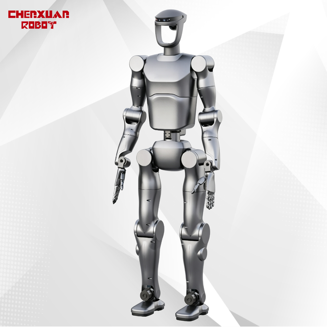 Advanced Bionic Humanoid Robot, Multi-Joint Flexible Motion Robot, for Daily Helper & Commercial Public Use