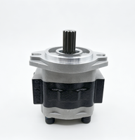 Pompe à engrenages hydraulique CBK-G427/CBK-G432/CBK-G436/CBK-F440/GBK-F444 SGP2-32A9H1-L365D 32 cm 5 CV 250 bars Connexion 1/4 pouce 1