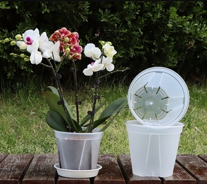 Set di 8 <span class=keywords><strong>Vasi</strong></span> <span class=keywords><strong>per</strong></span> <span class=keywords><strong>Orchidee</strong></span> Ecologici da 7 Pollici con Fori e Sottovasi in Plastica PP Trasparente <span class=keywords><strong>per</strong></span> Piante da Giardino - Product Image 2