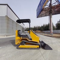 Kompakter Raupenlader Mini-Kompaktlader Direkt vom Hersteller Brandneu Exportbereit Gold-Lieferant Handelsgarantie Baumaschine