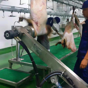 Machine <span class=keywords><strong>à</strong></span> peler la peau de chèvre clé en main, dépeigneuse de peaux de mouton en acier inoxydable, équipement d'abattoir pour l'abattage halal de moutons et agneaux - Product Image 4