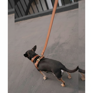 Ensemble de harnais mains libres réglables pour chien et laisse pour petits, moyens et grands chiens solides et durables - Product Image 1