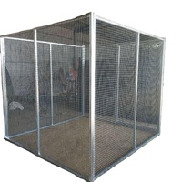 Cage d'habitat pour oiseaux en fil métallique avec porte verrouillable, plateau amovible léger, pour présentoir de commerçant d'animaux de compagnie, offre B2B