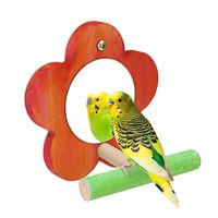 Mangeoire à oiseaux moderne en acier inoxydable et bois massif avec perchoir et récipients pour nourriture et eau