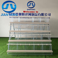 Cage à poules pondeuses à 4 niveaux et 5 portes, type A, galvanisée à chaud, équipement d'élevage avicole pour poules pondeuses