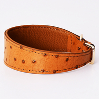 Nouveau Collier pour Chien en Cuir Véritable Italien, Design Unique et Tendance 2026, Couleur Unie, Vente en Gros