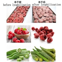 Lyophilisateur commercial à grande capacité de 500 kg à 1200 kg, sécheur par congélation sous vide pour aliments pour animaux, fruits et légumes