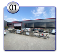 Nieuwe MINGFAN Automatische Groente Productielijn Voedselverwerkingsapparatuur Groente Spoelinstallatie 500-5000KG/URUUR