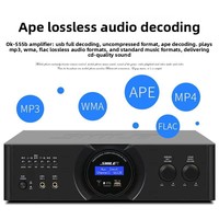 SHILE OK-555B Amplificateur Audio Professionnel 3D Intégré pour Conférences et Théâtres avec MP3 et USB