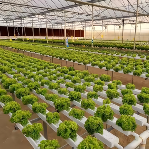 Torre Aeropónica, Bandejas para Cultivo, Estantes de Cultivo Verticales, Sistema Aeropónico NFT, Bomba Hidropónica Automatizada - Product Image 4