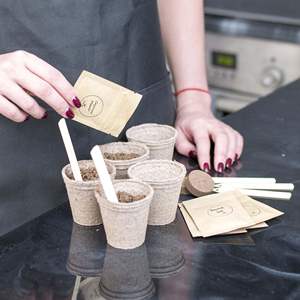 Premium Mini Kit Graines de Piments <span class=keywords><strong>BIO</strong></span> che piante di pepe biologico per il tuo Mini giardino - Product Image 6