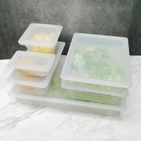 Plateau Gastronorme 1/1 100 mm en Plastique PP pour Buffet, Bac Alimentaire 17,22 L Transparent/Noir (Goodman FP3022)