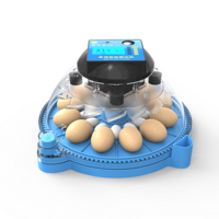 Incubateur d'œufs de volaille, usine en chine, Mini incubateur d'œufs à vendre