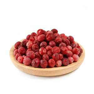 Vente en gros d'usine : Snack alimentaire sain séché, canneberges en dés lyophilisées - Product Image 2