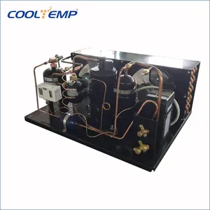 Compresseur haute efficacité avec unité de condensateur, kit d'amortissement