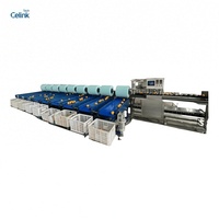 Automatische sorteer-, was- en waslijn voor fruit en groenten met grote capaciteit, roltype