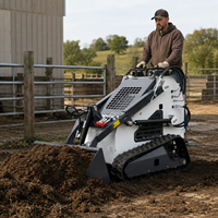Mini-chargeuse compacte sur chenilles avec moteur diesel CE EPA, capacité de 360 kg à 380 kg, avec godet et broyeur hydraulique, directement de l'usine
