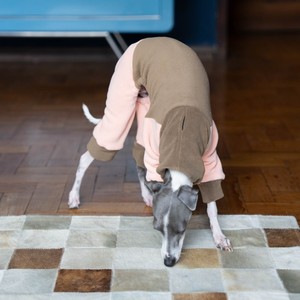 <span class=keywords><strong>Ropa</strong></span> de invierno de doble cara de forro polar para <span class=keywords><strong>galgo</strong></span> <span class=keywords><strong>italiano</strong></span> pequeño, de cuatro patas, cuello alto, elástica, cálida, estilo Bellington, para ocio y protección contra el viento. - Product Image 4