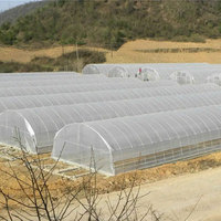 Serre de tunnel de cadre en acier agricole de cerceau 8*30M grande structure 3M hauteur pour la maison verte de conteneur complet à vendre