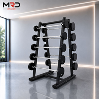 Support de Rangement Commercial pour Barres de Musculation, Type A, 10 Barres, Fixe, Sûr, Stable et Durable, pour Salle de Sport et Club de Fitness
