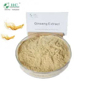 Extracto de raíz de ginseng americano Panax ginseng de la mejor calidad de fabricación de fábrica