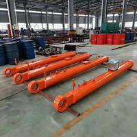 Palancole hydraulique résistant à la corrosion en acier au carbone et acier inoxydable 304 pour la lutte contre les inondations et la régulation fluviale