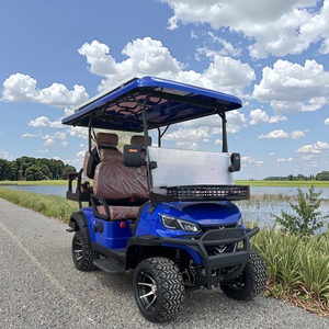 Nhà Máy Trung Quốc hợp pháp bán xe Golf điện 4 chỗ và xe săn với pin 48v60v72v có thể tùy chỉnh - Product Image 3