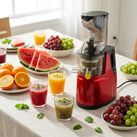80MM Grote Opening Slow Juicer Machine 75RPM Lage Snelheid Masticating Juicer Extractor met 150W Zuiver Koperen Motor