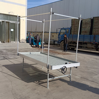 Serre agricole multi-travées HANGDI avec système de culture hydroponique à flux et reflux pour tables de culture verticales intérieures
