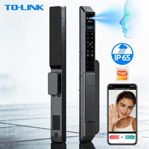 卸売業務用Tuya WiFi 3D顔認証ビデオインターホン電子錠（断熱アルミガラスドア用） - Product Image 1