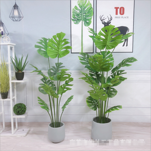 1.5m Monstera <span class=keywords><strong>Albo</strong></span> Grand Arbre Vert Artificiel <span class=keywords><strong>Plante</strong></span> Décorative En Plastique Durable Pour La Maison - Product Image 3