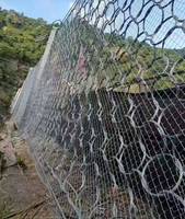 Grillage gabion galvanisé à chaud pour la protection des pentes, maille hexagonale