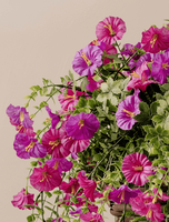 Panier suspendu artificiel de fleurs de gloire du matin avec pot, fleurs rampantes colorées pour la décoration de balcon, porche, maison et jardin