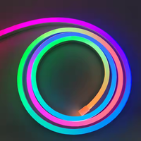 Lumière néon magique extérieure étanche IP67 RVB Flexible 12V lumière LED en silicone pur pour la décoration de fond d'ordinateur de TV