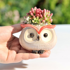 Vaso <span class=keywords><strong>per</strong></span> Piante Succulente in Ceramica Lucida a Forma di Gufo, Creativo e Decorativo <span class=keywords><strong>per</strong></span> <span class=keywords><strong>Balconi</strong></span> <span class=keywords><strong>Esterni</strong></span> - Product Image 5