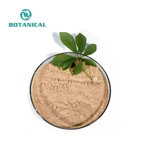 Hàn Quốc Panax Siberian chiết xuất nhân sâm tươi chiết xuất từ rễ nhân sâm ginsenoside 80% - Product Image 2