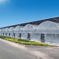 Serres agricoles à travées multiples Tunnel Film Serre Système hydroponique Laitue, Serre à tomates Équipement agricole
