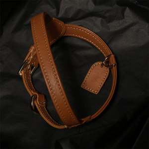 Arnés y Correa para Perro de Lujo Ajustable, Acolchado, de Nailon y Cuero Genuino, Personalizado y de Alta Calidad, Marca Henshine - Product Image 3