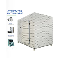 Chambre froide mobile pour magasins d'alimentation avec compresseur Copeland, panneaux de 120 mm pour une économie d'énergie et une température stable -30°C ° C