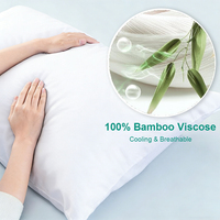 Ensemble de taies d'oreiller en rayonne de bambou rafraîchissante, respirantes et absorbant l'humidité pour les personnes ayant chaud la nuit, personnalisables OEM, vente en gros