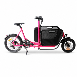 Vélo électrique pliable 48 V 250 W 20 pouces 7 vitesses en alliage d'aluminium avec batterie au lithium et moteur roue arrière pour la ville et le transport en gros - Product Image 1