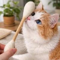 Jouets pour chats faits à la main en feutre de laine et coton, pour le nettoyage des dents et le divertissement des chats