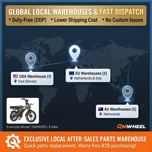 QMWHEEL V20 Pro Electric <b>Bicycle</b> OEM ODM 20 Inch Fat Tire Adult Ebike With Italy US EU Warehouse Fast Delivery - Product Image 3