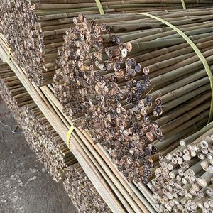 Good Price Tonkin Bamboo <b>Poles</b> Vietnam Large Treated Bamboo <b>Pole</b> Tube <b>For</b> Eco <b>Garden</b> Fence And Decoration From Factory - Product Image 5