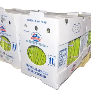 Embalaje hueco de plástico Cajas de frutas Caja de espárragos Caja de verduras